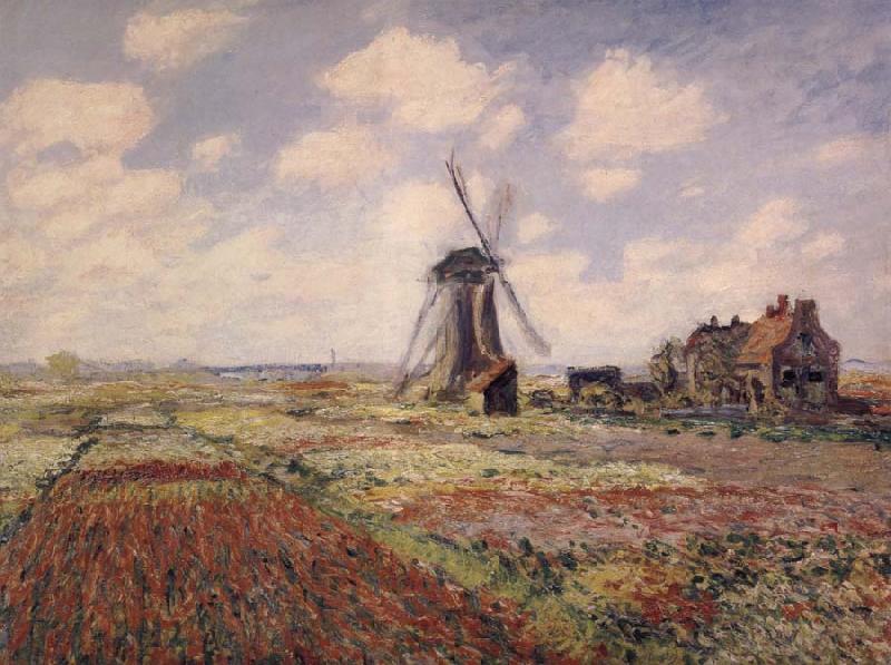 Claude Monet A Field of Tulips in Holland oil painting image